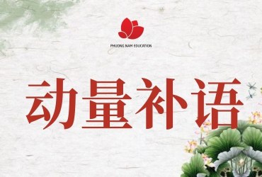 Bổ ngữ động lượng trong tiếng Trung